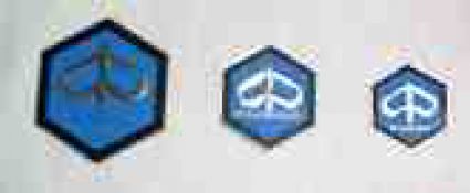 Écusson hexagonal petit